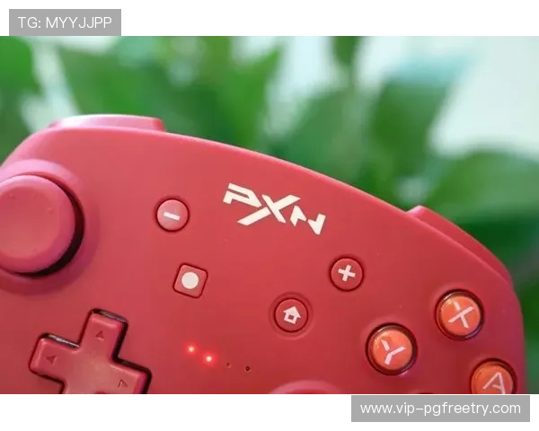 PG国际服新版本下载速度提升,优化下载体验确保玩家第一时间体验新内容